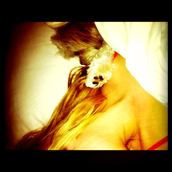 ashleybenson instagram image archive image