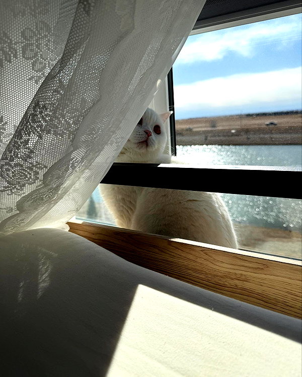hanariv3v instagram image archive image