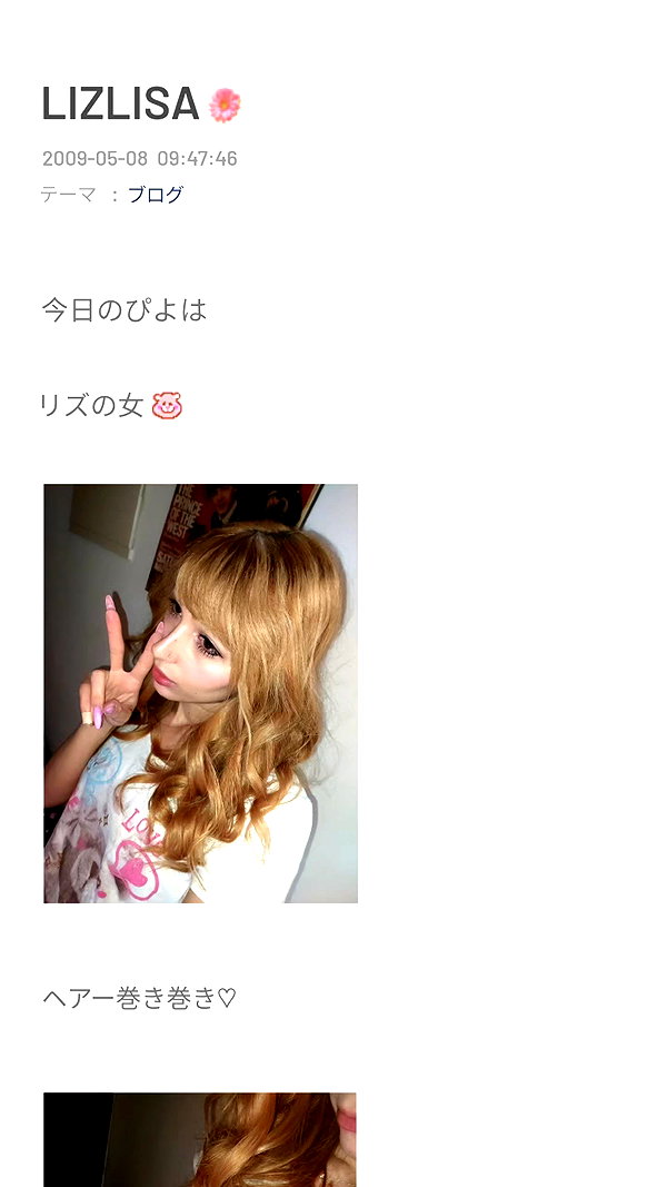 piyokoblog archive image