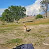muze Altpins Profile Picture