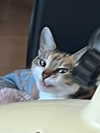 cata.leyah Altpins Profile Picture