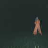 kafelnikova_a Altpins Profile Picture