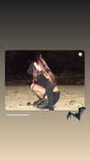zarinamartinna Altpins Profile Picture