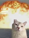 a.tinn___ Altpins Profile Picture