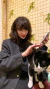 ptpchik Altpins Profile Picture