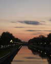 marii.a_v Altpins Profile Picture