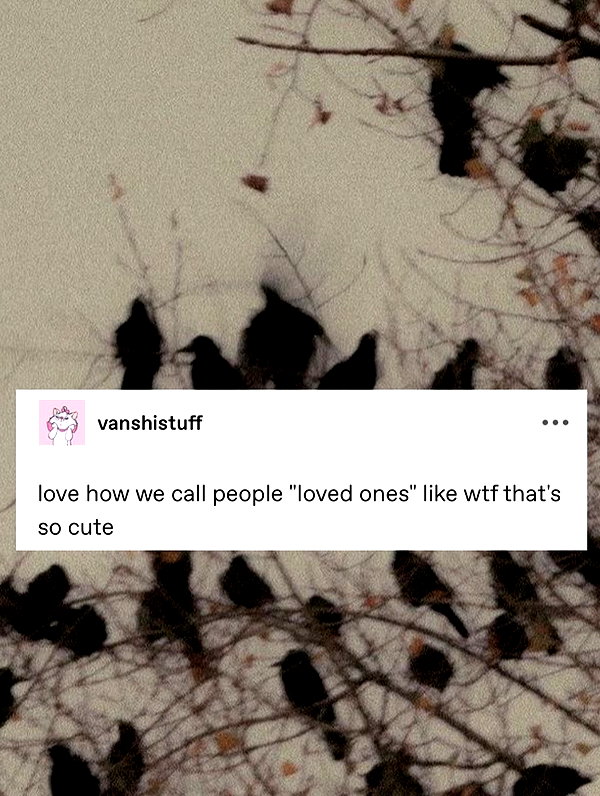 ellaexplicit_ instagram image archive image