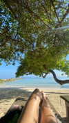 solzarubin_ Altpins Profile Picture