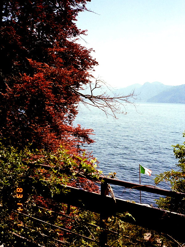 shirelokavi instagram image archive image
