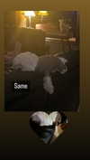 luvstuff3r Altpins Profile Picture