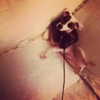 mariahcarey Altpins Profile Picture