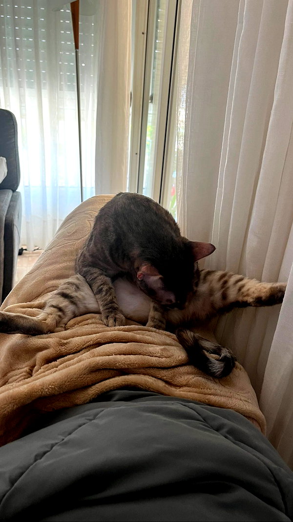 Archived image from @notchicore on Instagram