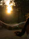 noasoophia Altpins Profile Picture