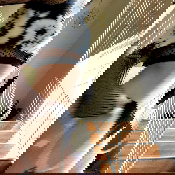 missnyxdawn missnyxdawn archive image