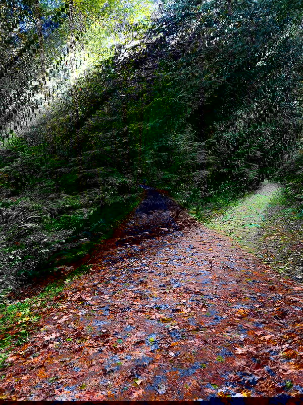 taylor.creeden taylor.creeden archive image