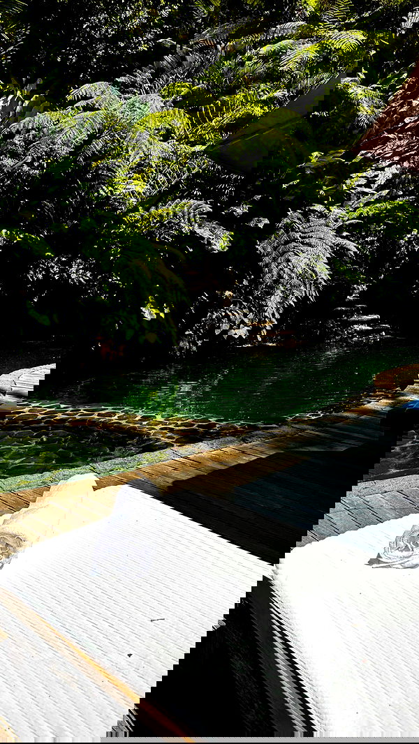 taylor.creeden taylor.creeden archive image