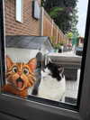 curlyfriesjazz Altpins Profile Picture
