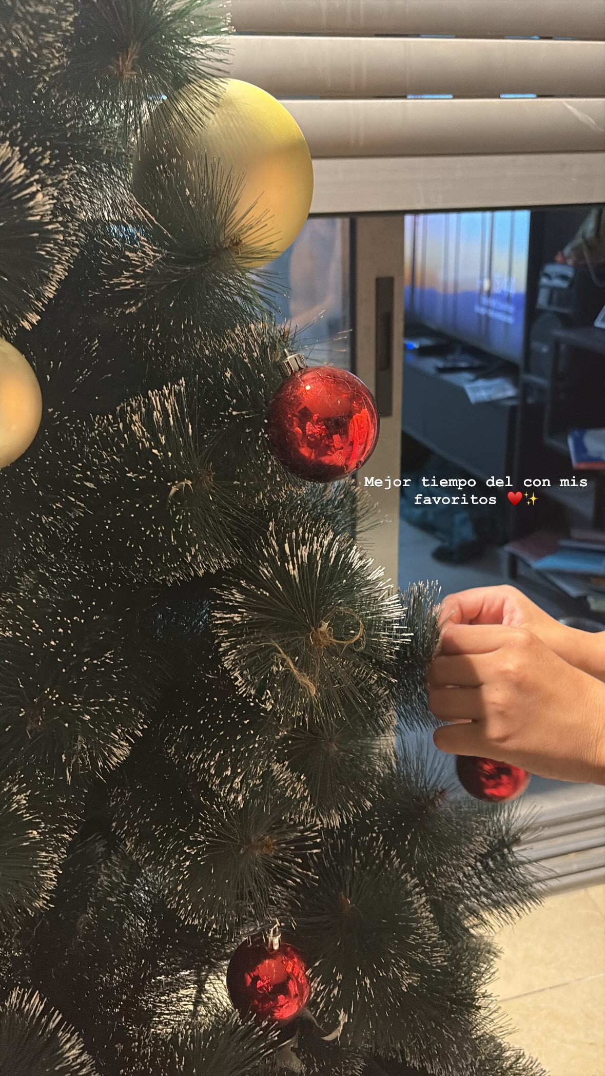 paula_valentina_gomez instagram image archive image