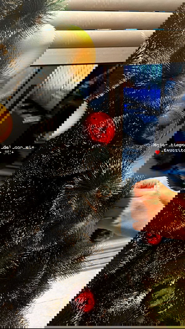 paula_valentina_gomez image ~ Altpins