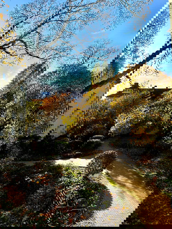 mishel116 mishel116 archive image