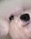ll.lu1s Altpins Profile Picture