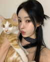 daxbin Altpins Profile Picture