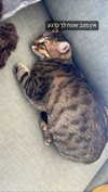 ronyida_ Altpins Profile Picture