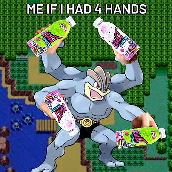 grogusmami instagram image archive image