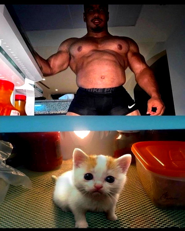 leanbeefpatty instagram image archive image
