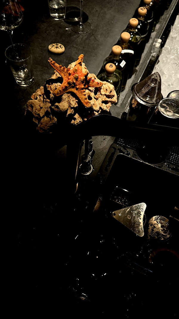 vvelum_ archive image