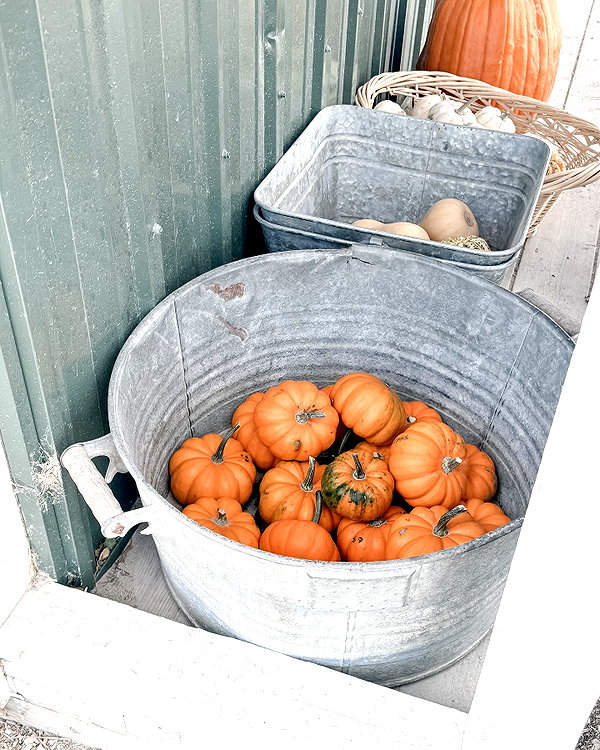 1uvgabi instagram image archive image
