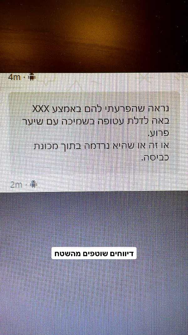 noasoophia instagram image archive image