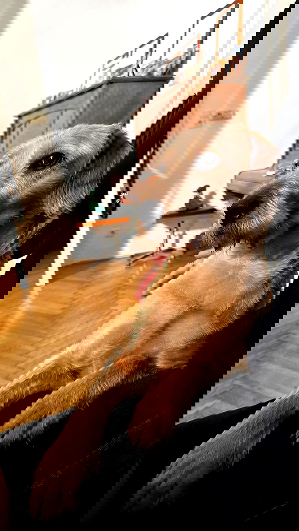 manjolamuriqi manjolamuriqi archive image