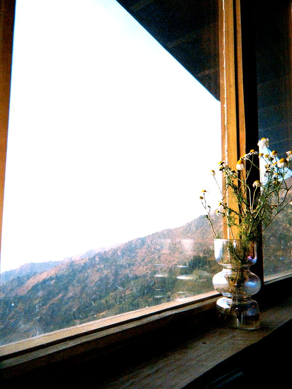 utochkavtapkah instagram image archive image