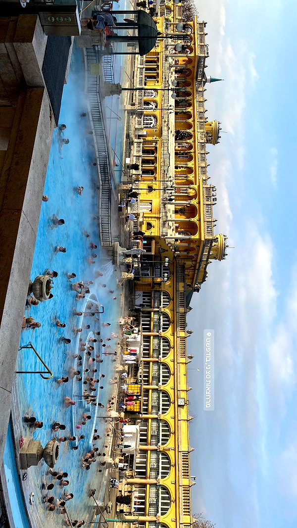 shani.zeltzer instagram image archive image