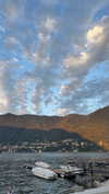 michal_cohen017 Altpins Profile Picture