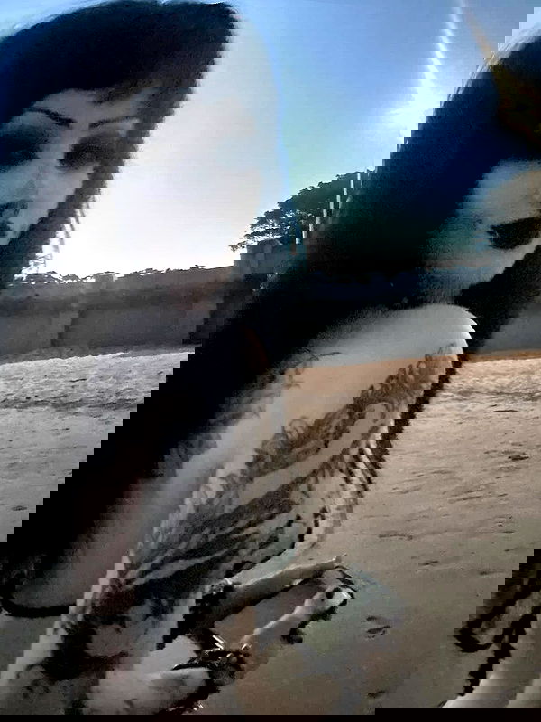 lanielifeless image ~ Altpins