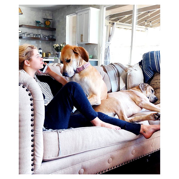 sashapieterse instagram image archive image