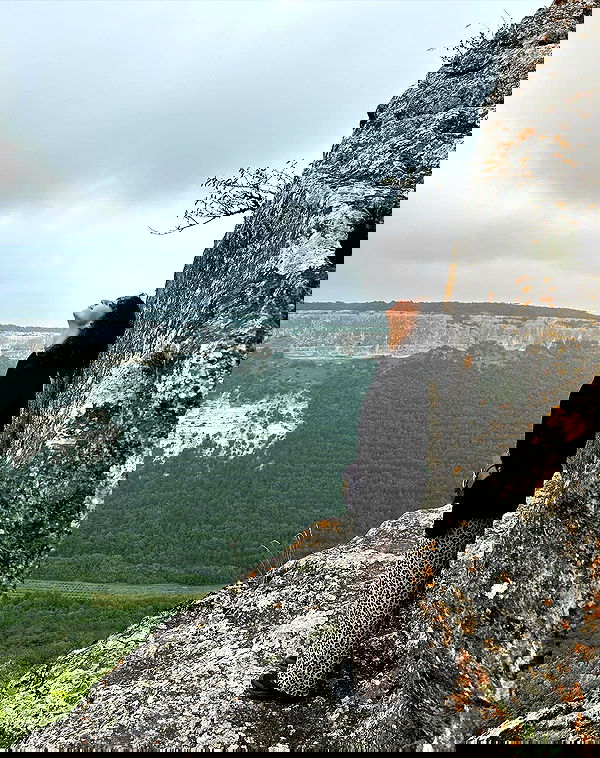 kkulakovaa image ~ Altpins