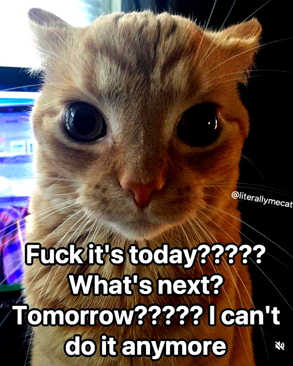 grogusmami instagram image archive image