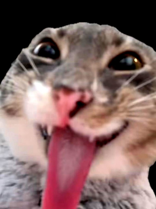 mortimertats instagram image archive image