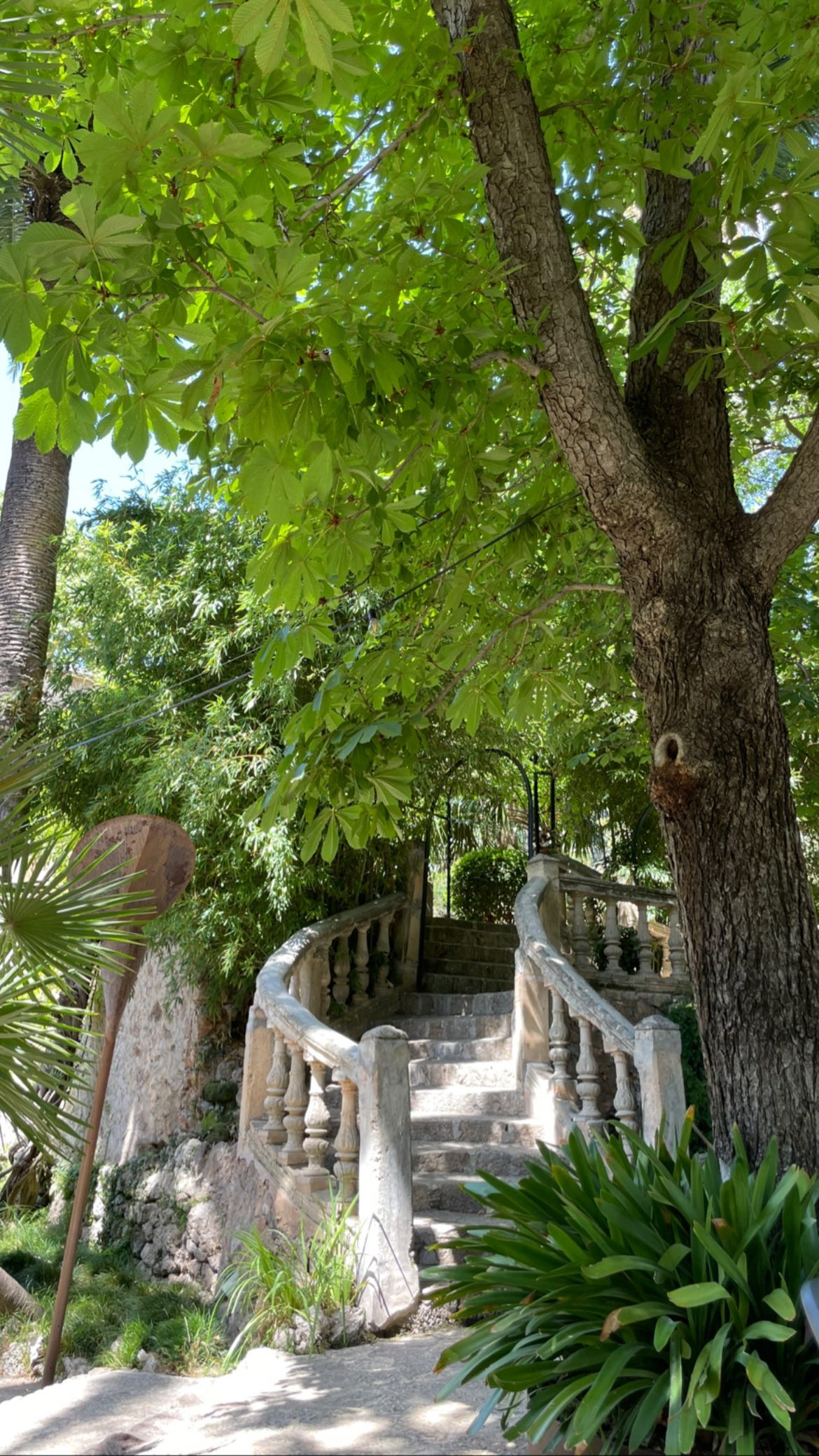 shunli__mei instagram image archive image