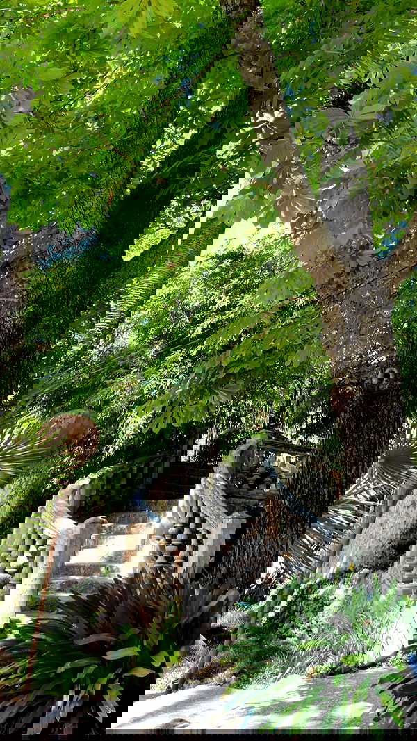 shunli__mei image ~ Altpins