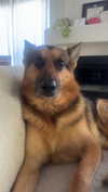 little.warren_ Altpins Profile Picture