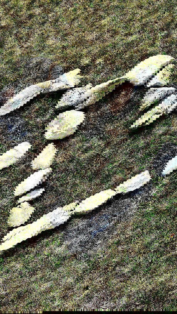 taylor.creeden taylor.creeden archive image