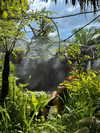 gritsa.k Altpins Profile Picture