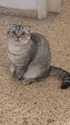 eva.6stuma.com6 Altpins Profile Picture