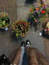 annazak12 Altpins Profile Picture