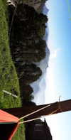 maycohen8 Altpins Profile Picture