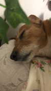 bat.wiings Altpins Profile Picture